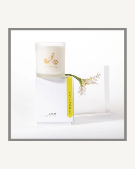 Picture of Waterblommetjie Candle