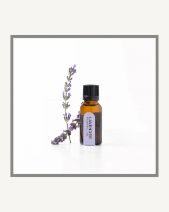 Picture of Lavender Essential Oil